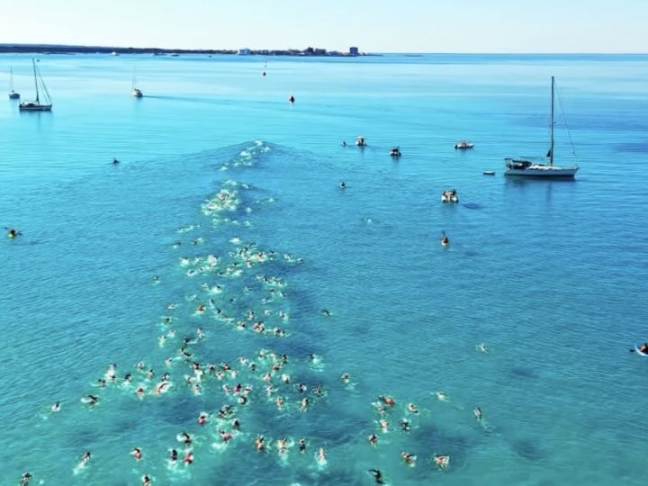 Bericht Freiwassersaison 2026
